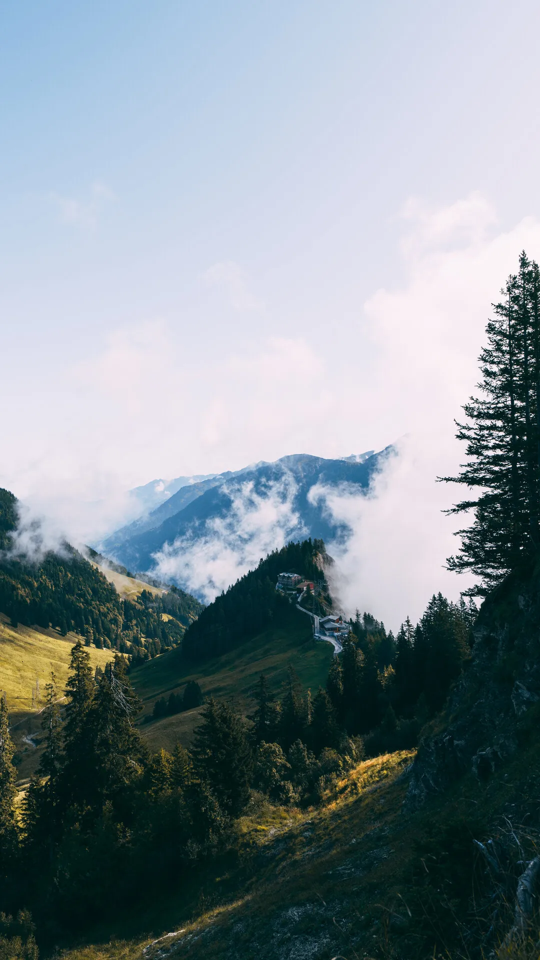 Misty Alpine Valley