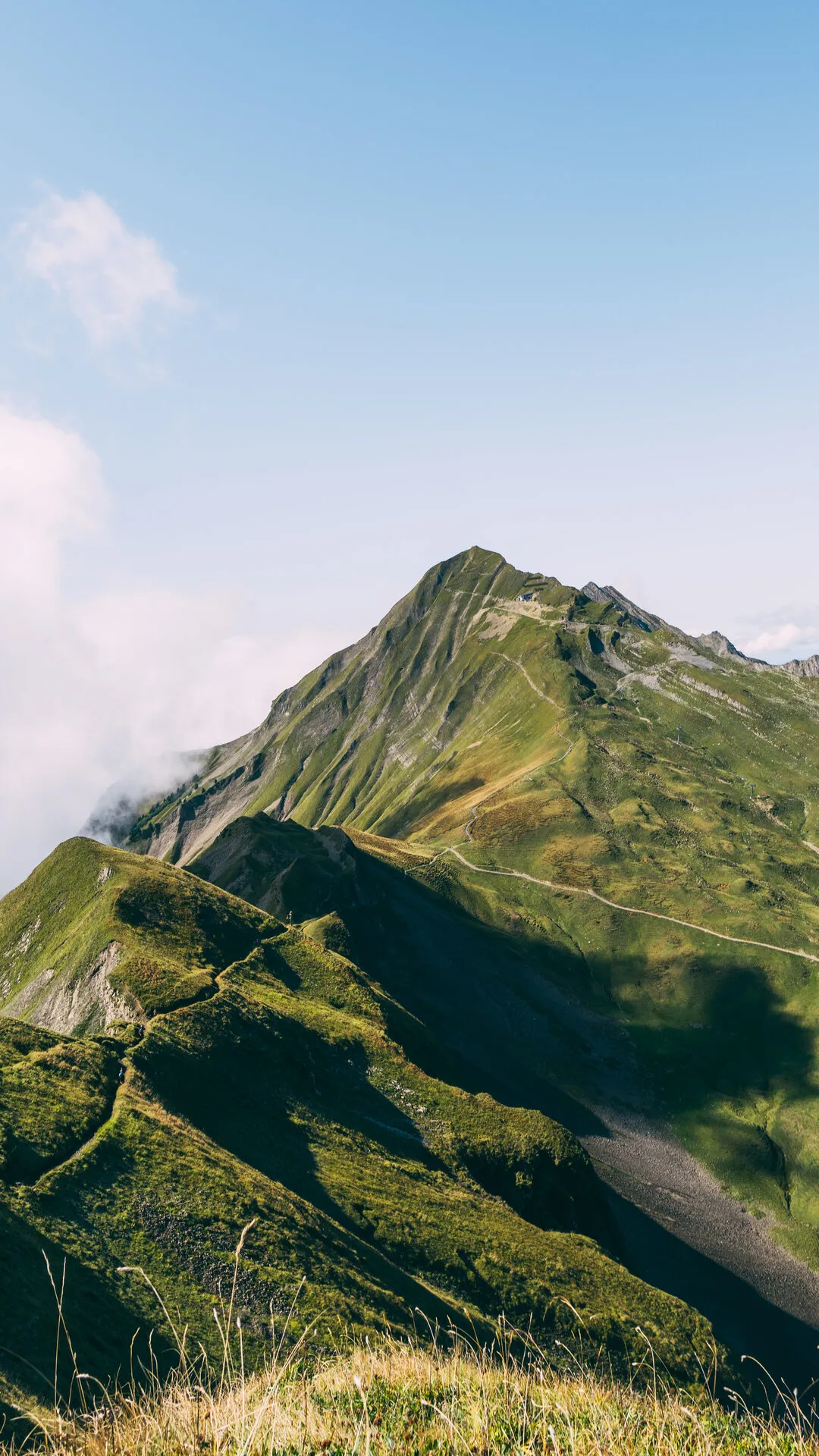 Alpine Ridge Trail