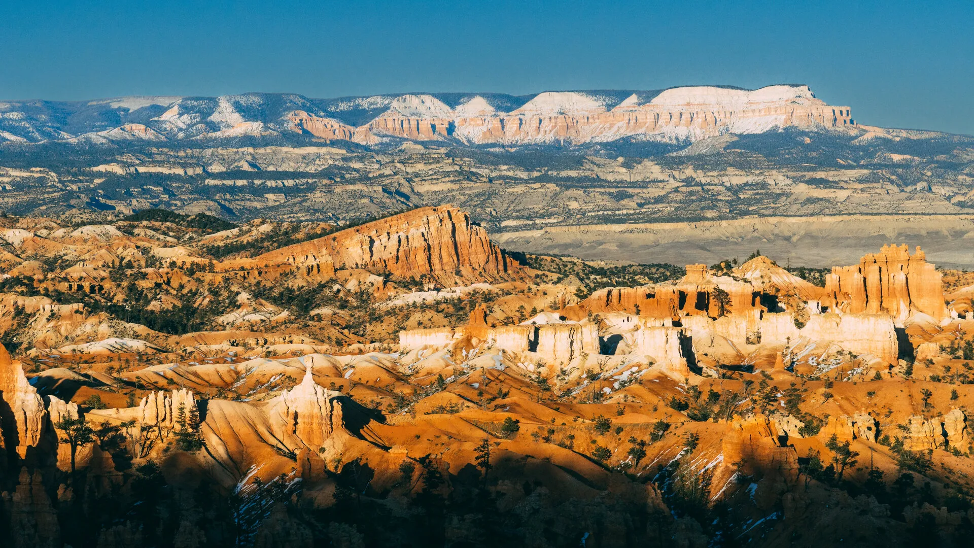 Bryce Canyon Snowy Mesa