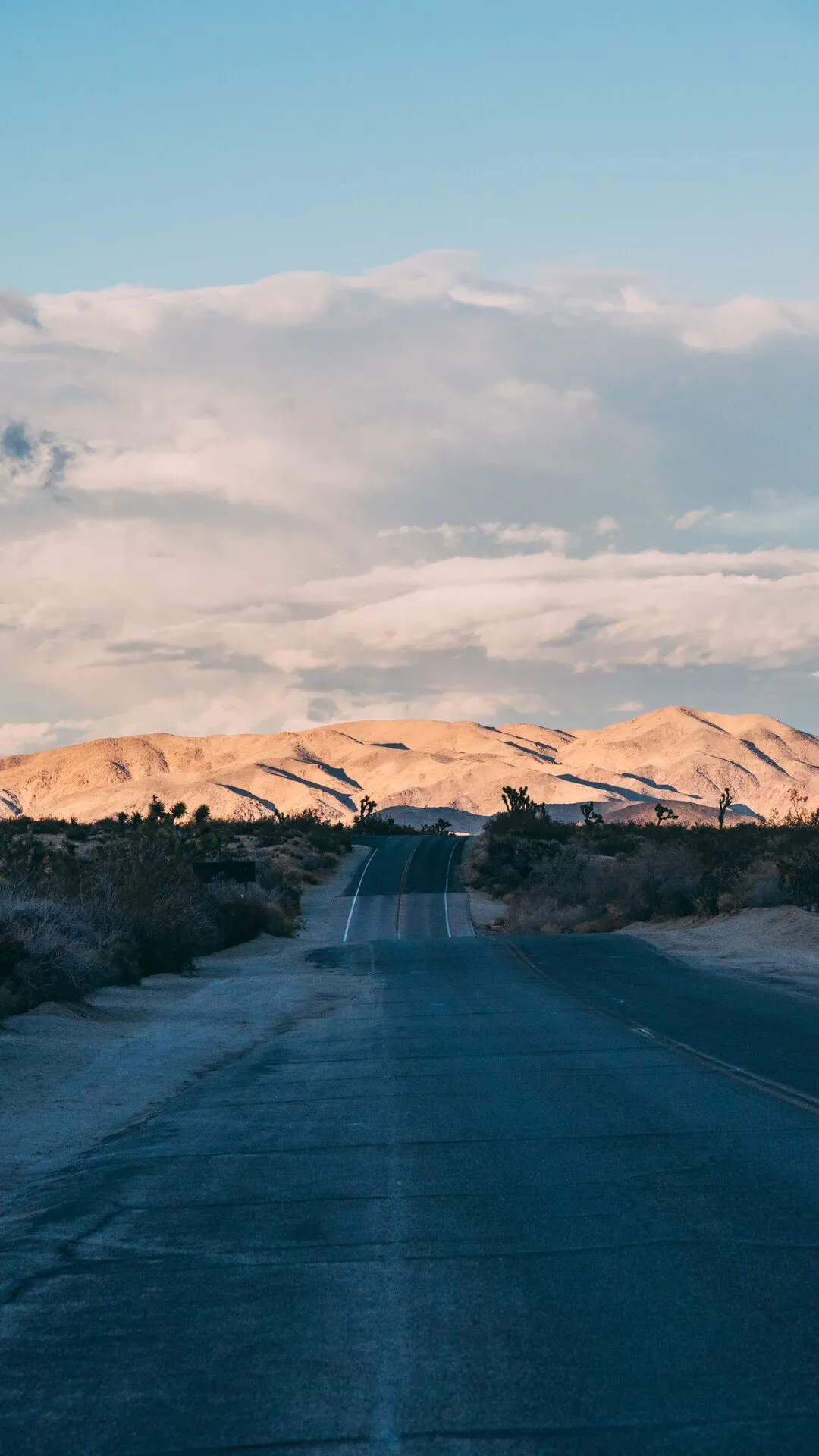 Desert Road