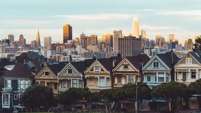 Painted Ladies