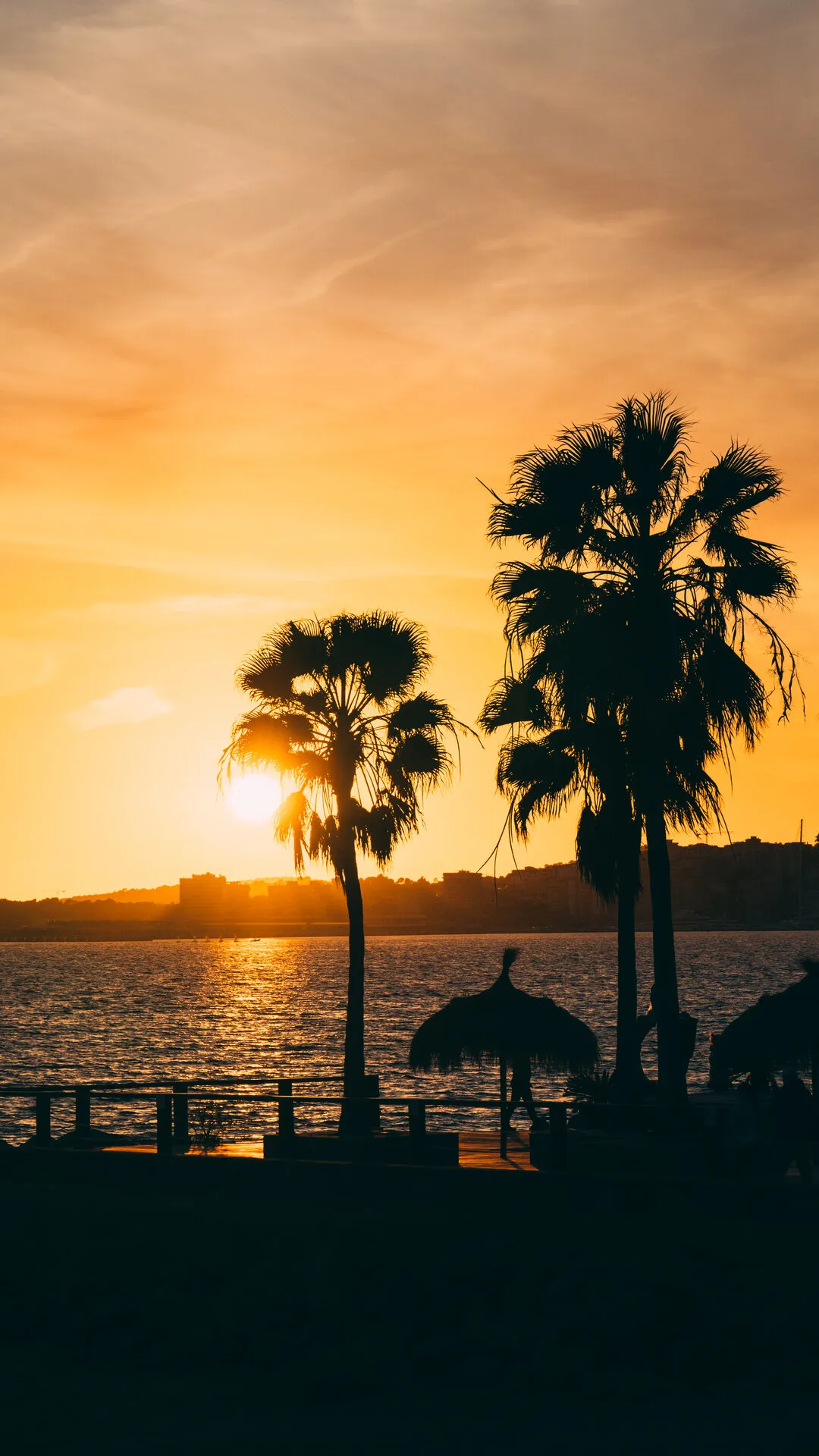 Palm Silhouette at Sunset